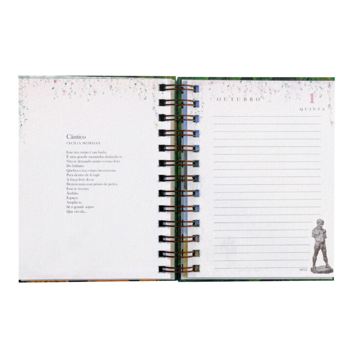 Agenda 2026 – Yacunã - Image 7