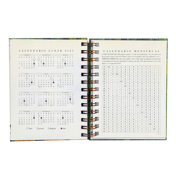 Agenda 2026 – Yacunã - Image 6