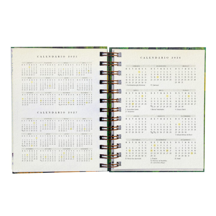 Agenda 2026 – Yacunã - Image 5